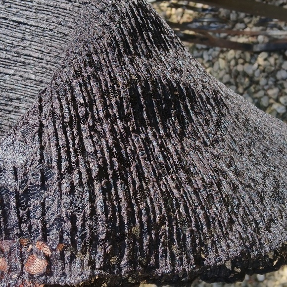 PATRA Vintage Wide Leg Cocktail Lace Pants/skirt  Sz 8/10 L, Quiet Luxury - Picture 2 of 13